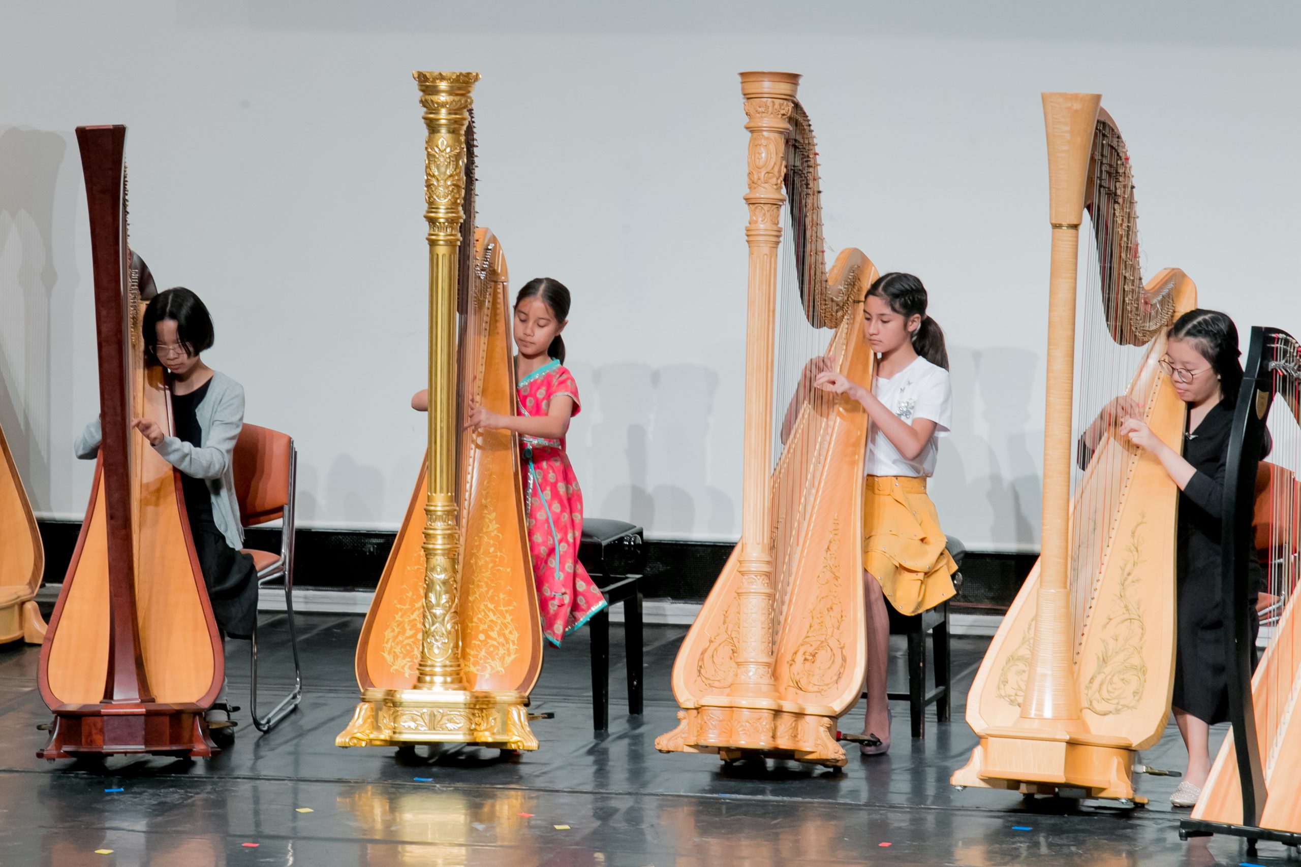 Harp Lessons 